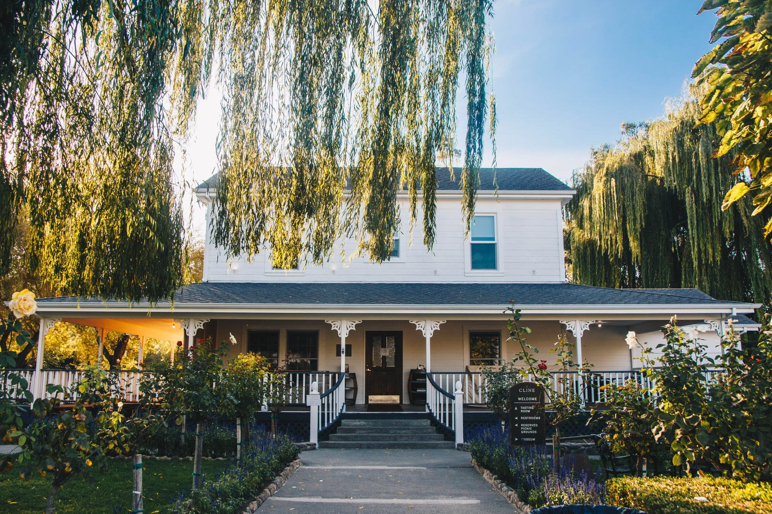 Cline Cellars