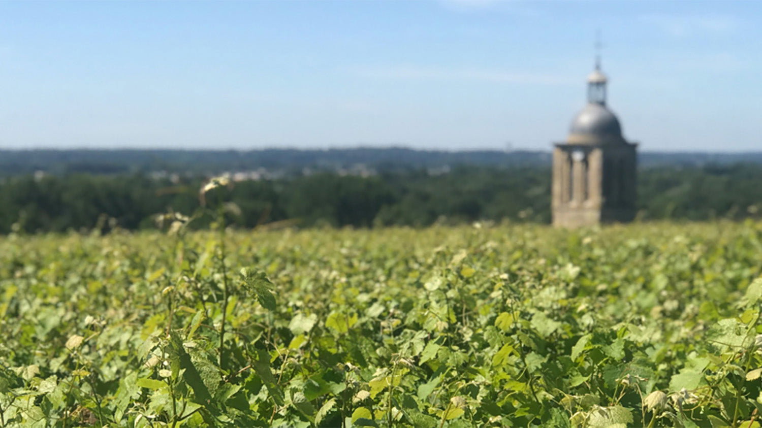 Domaine Huet