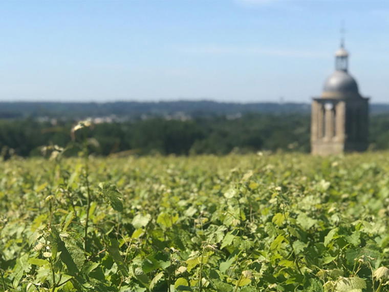 Domaine Huet, Vouvray, France