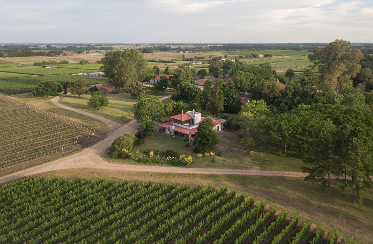 Bodega Juanicó (Familia Deicas) winery in Canelones, Uruguay