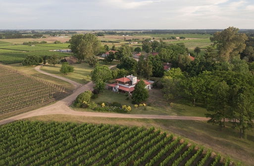 Bodega Juanicó (Familia Deicas)