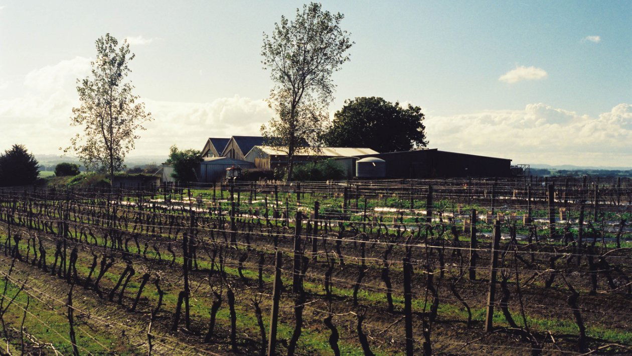 Bass Phillip, Winery in Gippsland