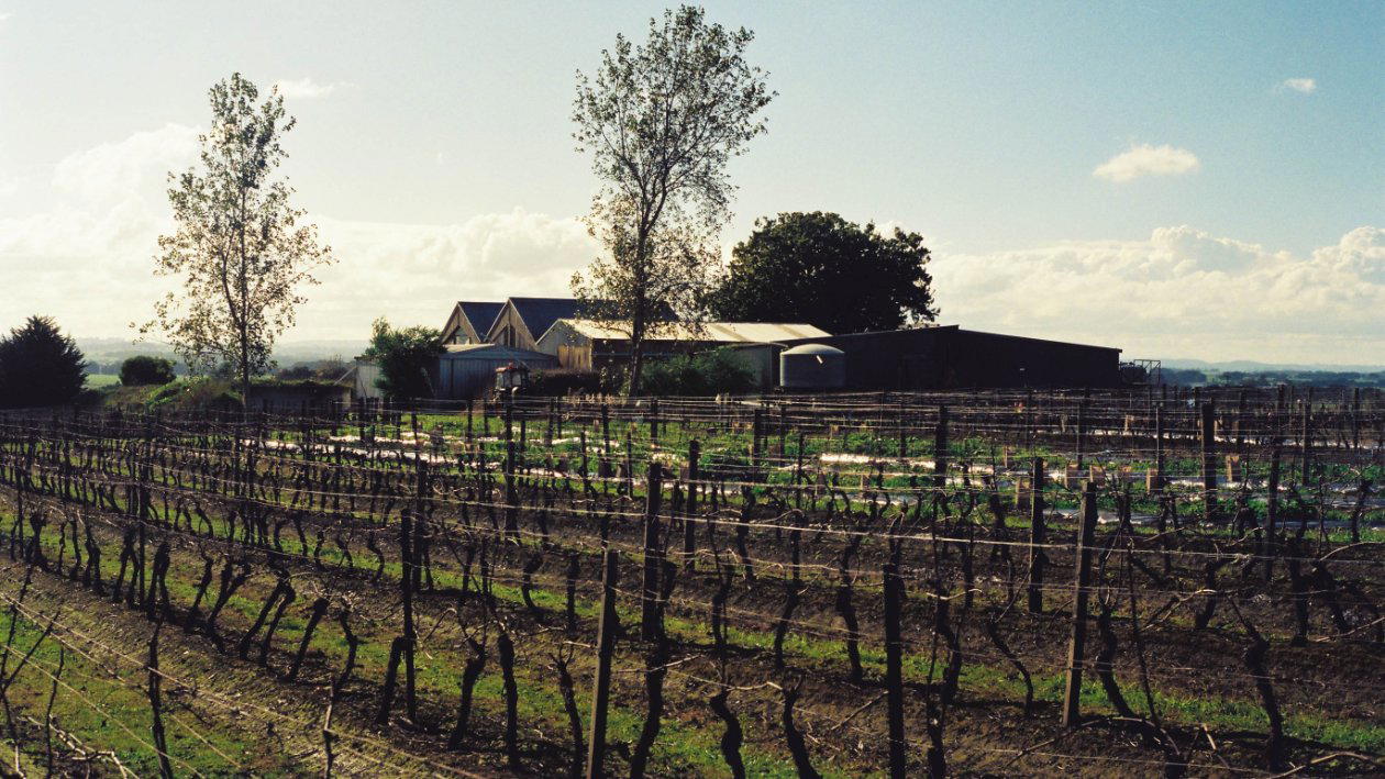 Bass Phillip winery in Gippsland, Australia