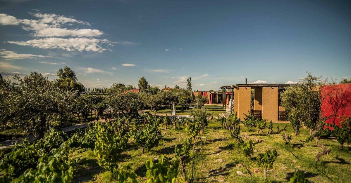 El Enemigo (Casa Vigil) winery in Maipú