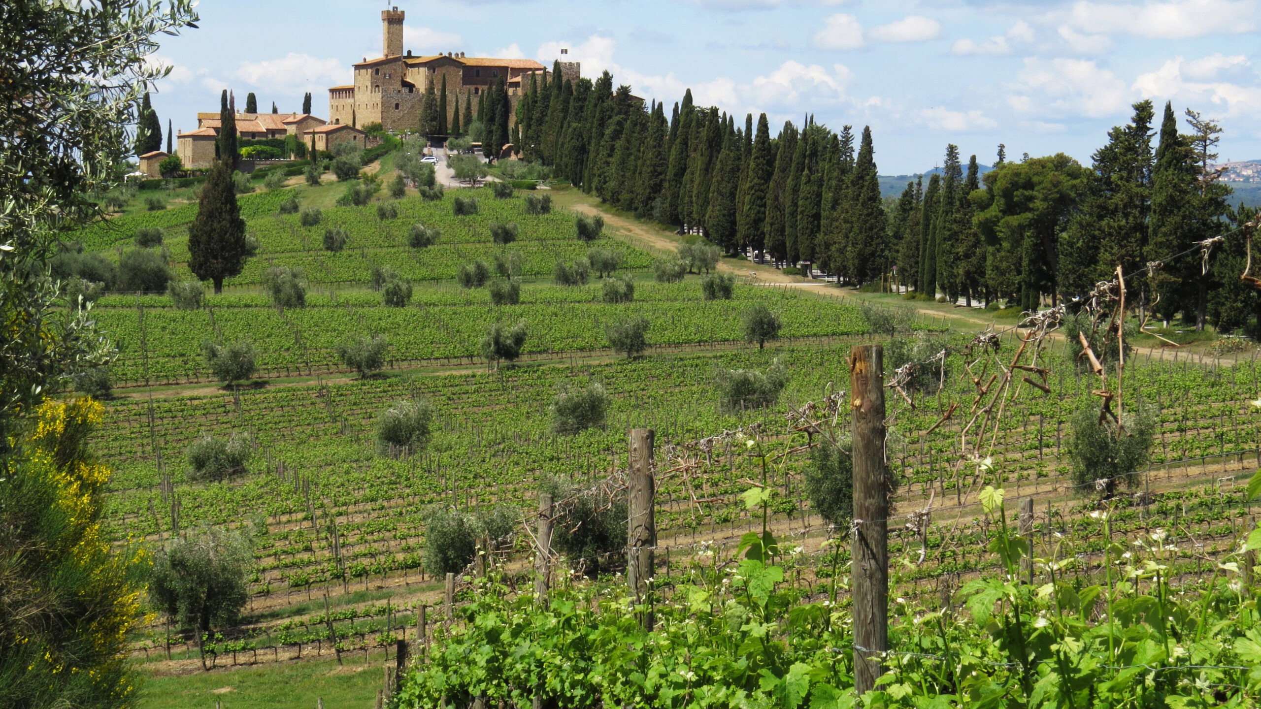 Castello Banfi