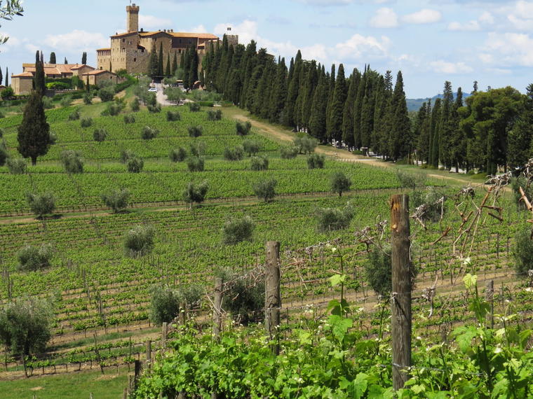Castello Banfi, Montalcino, Italy