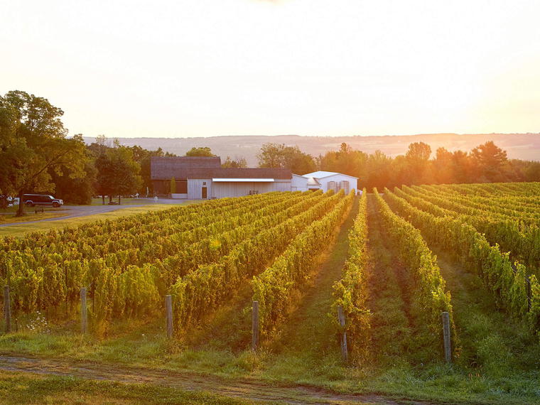 Hermann J. Wiemer Vineyard, Dundee, United States