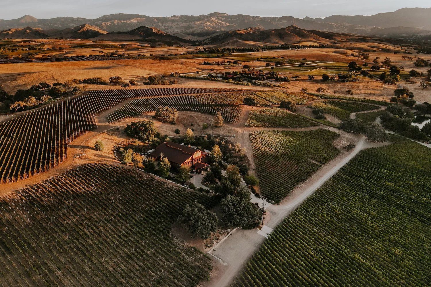 Grassini Family Vineyards, Winery in Santa Ynez