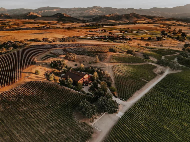 Grassini Family Vineyards, Santa Ynez, United States