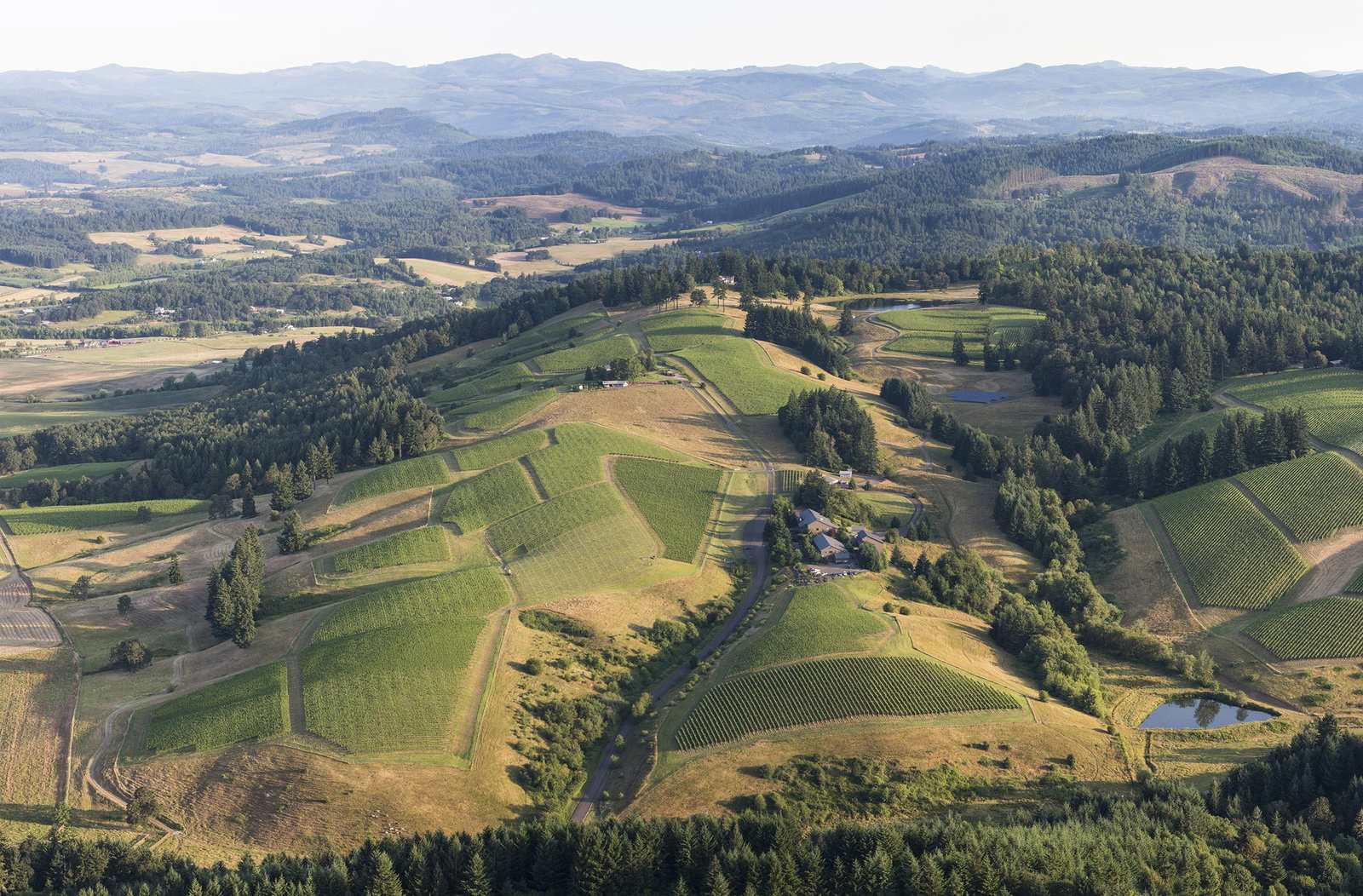 Willakenzie Estate