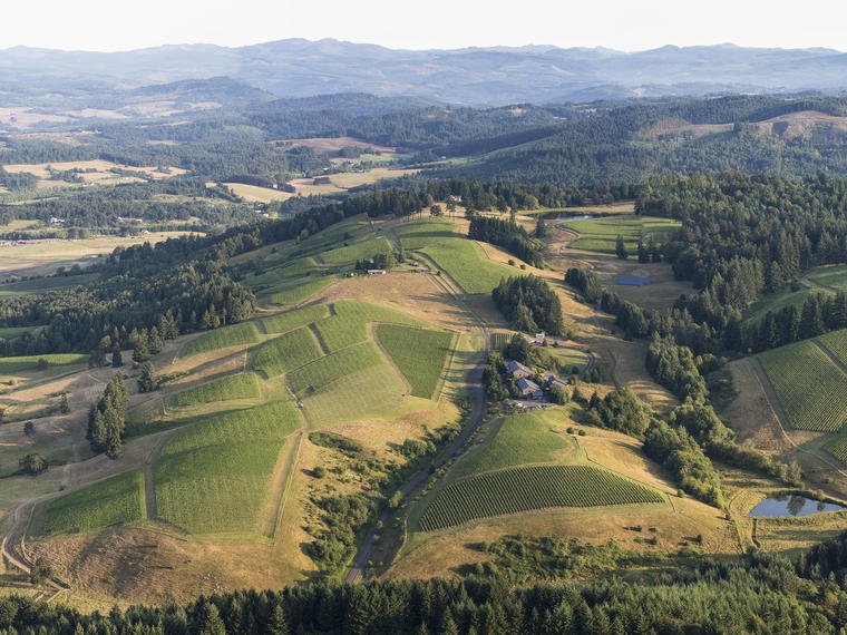 Willakenzie Estate, Yamhill, United States