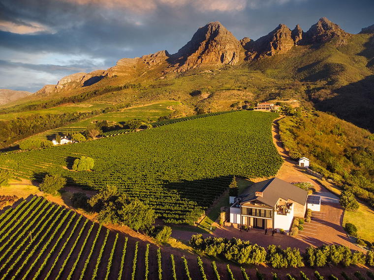 Uva Mira Mountain Vineyards, Stellenbosch, South Africa