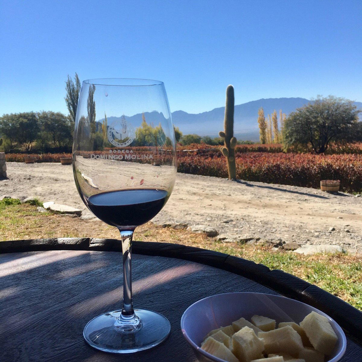 Domingo Molina, Cafayate, Argentina