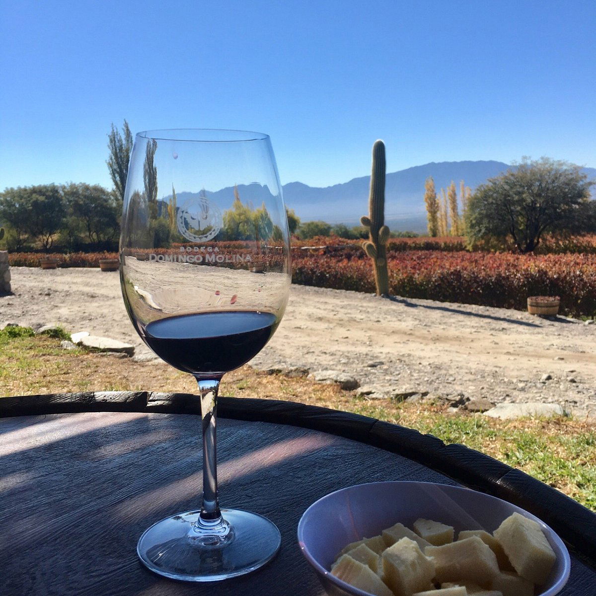 Domingo Molina winery in Cafayate, Argentina