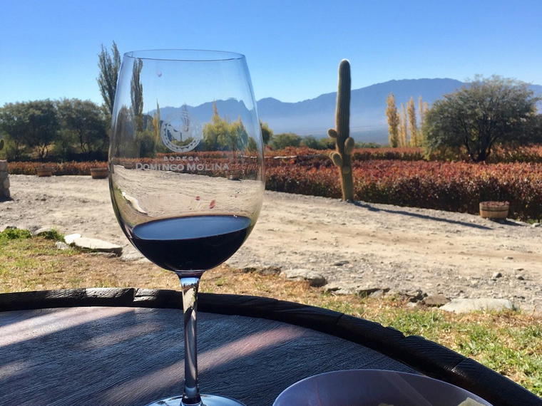 Domingo Molina, Cafayate, Argentina