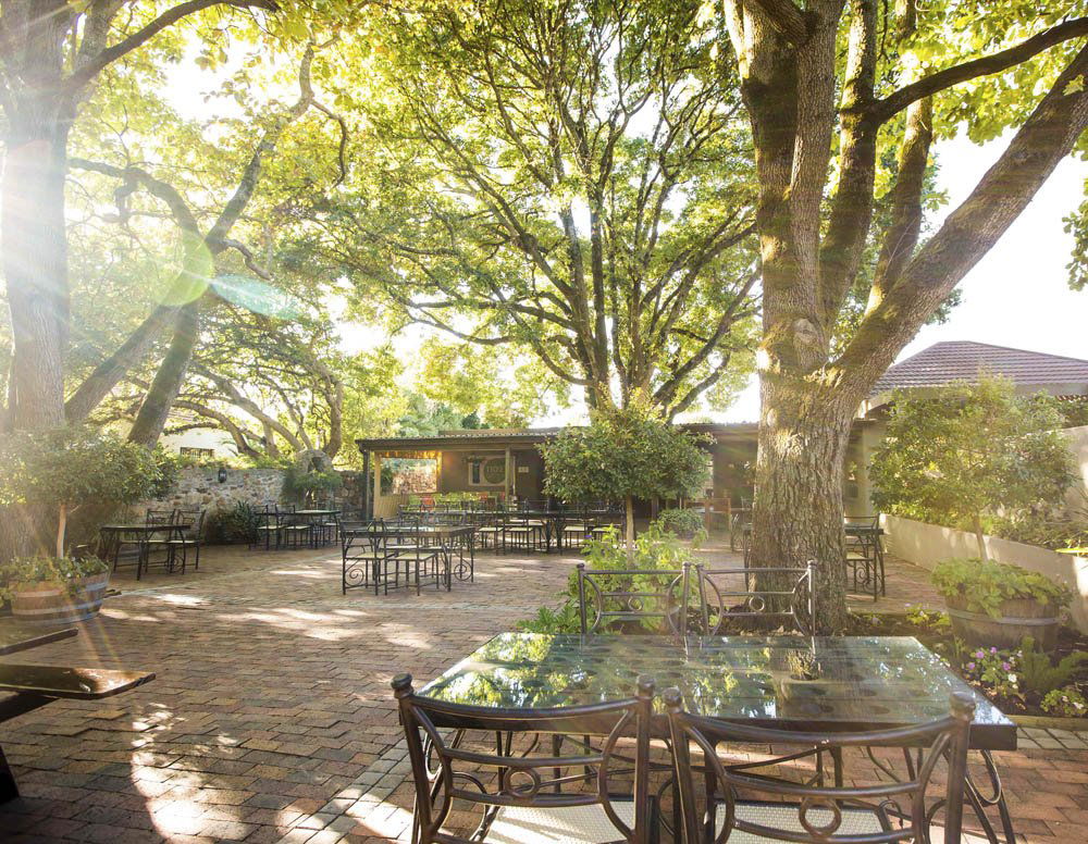 Villiera Wines, Winery in Stellenbosch