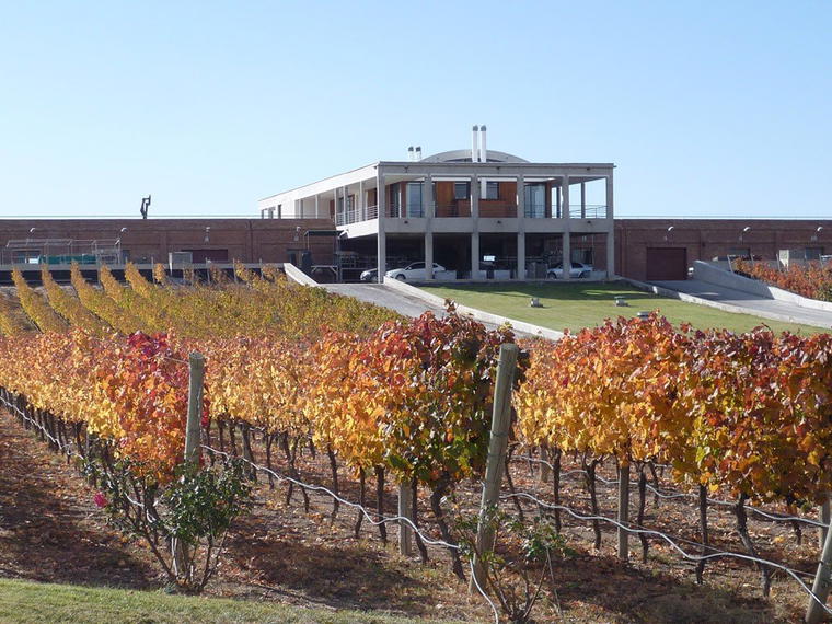 Bodega Monteviejo, Tunuyán, Argentina