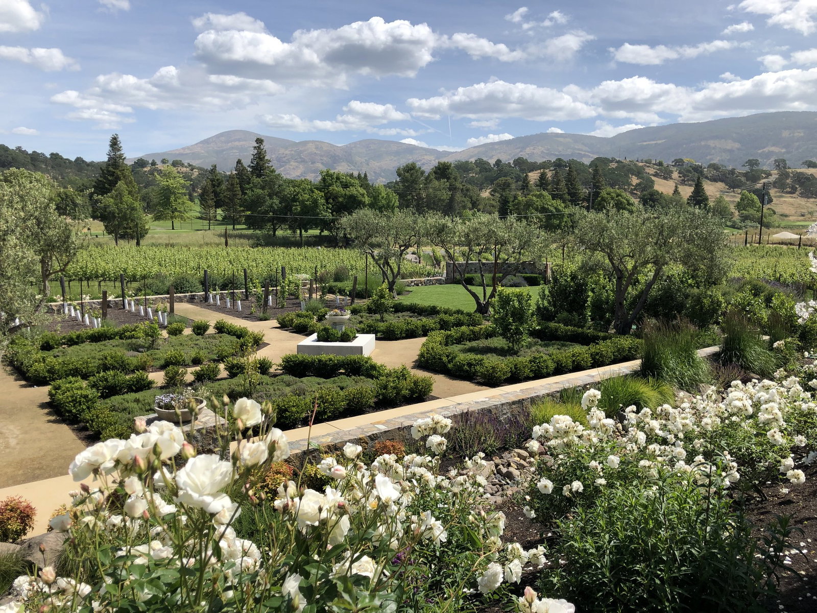 Shadybrook Estate Winery, Napa, United States