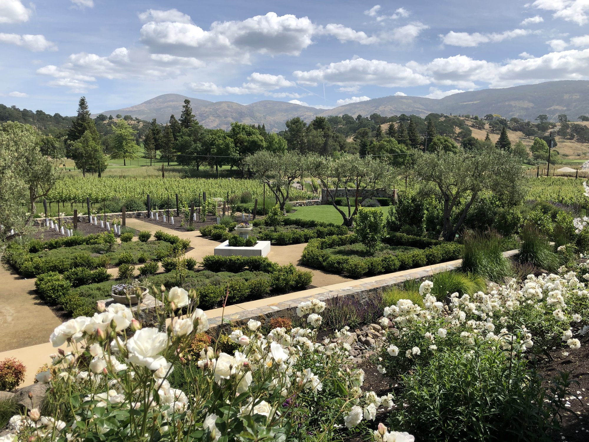 Shadybrook Estate Winery winery in Napa, United States