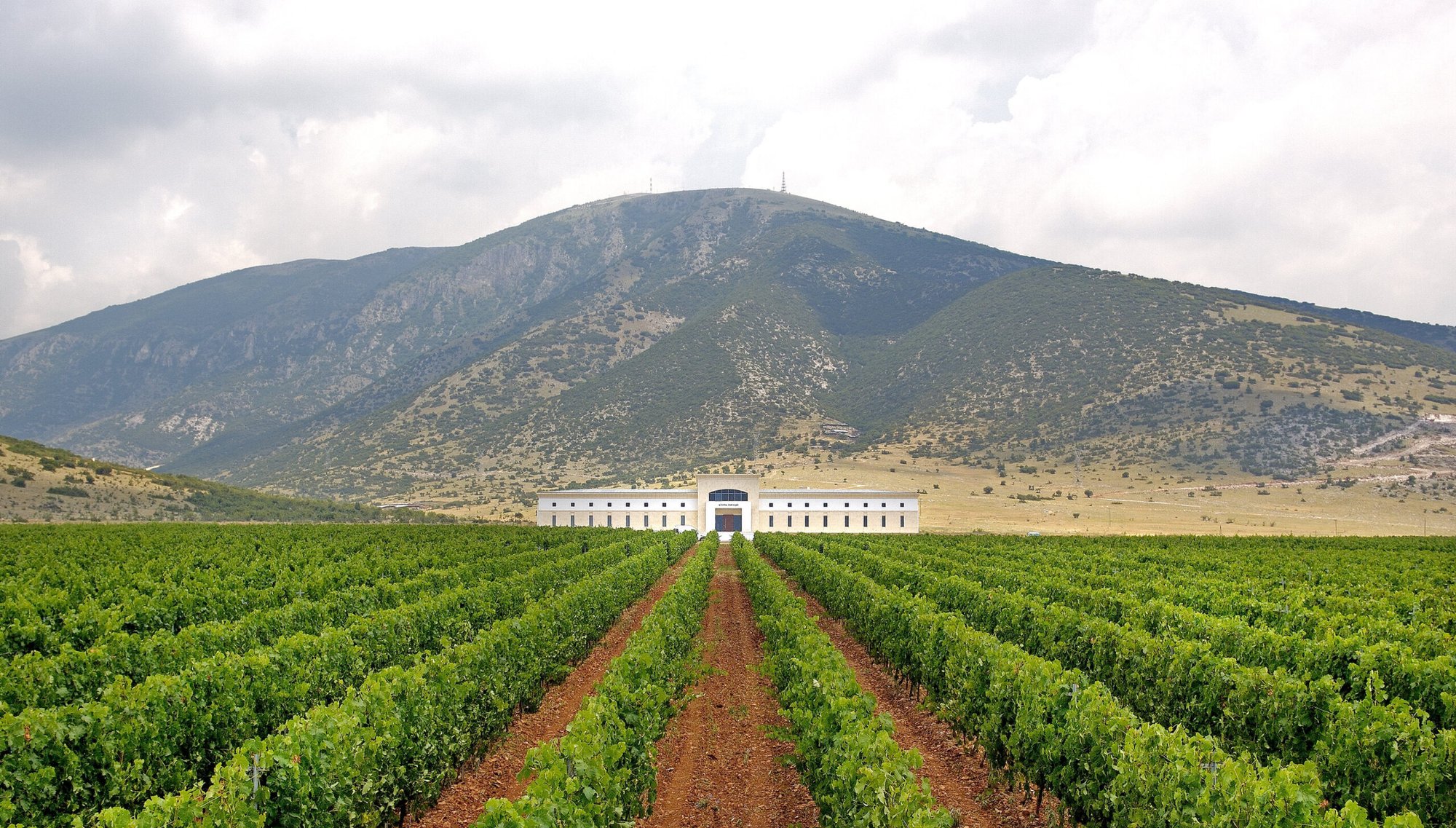 Ktima Pavlidis winery in Kokkinogia, Greece
