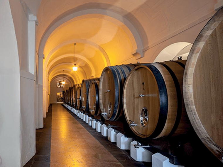 Adega Cartuxa (Fundação Eugénio de Almeida), Évora, Portugal