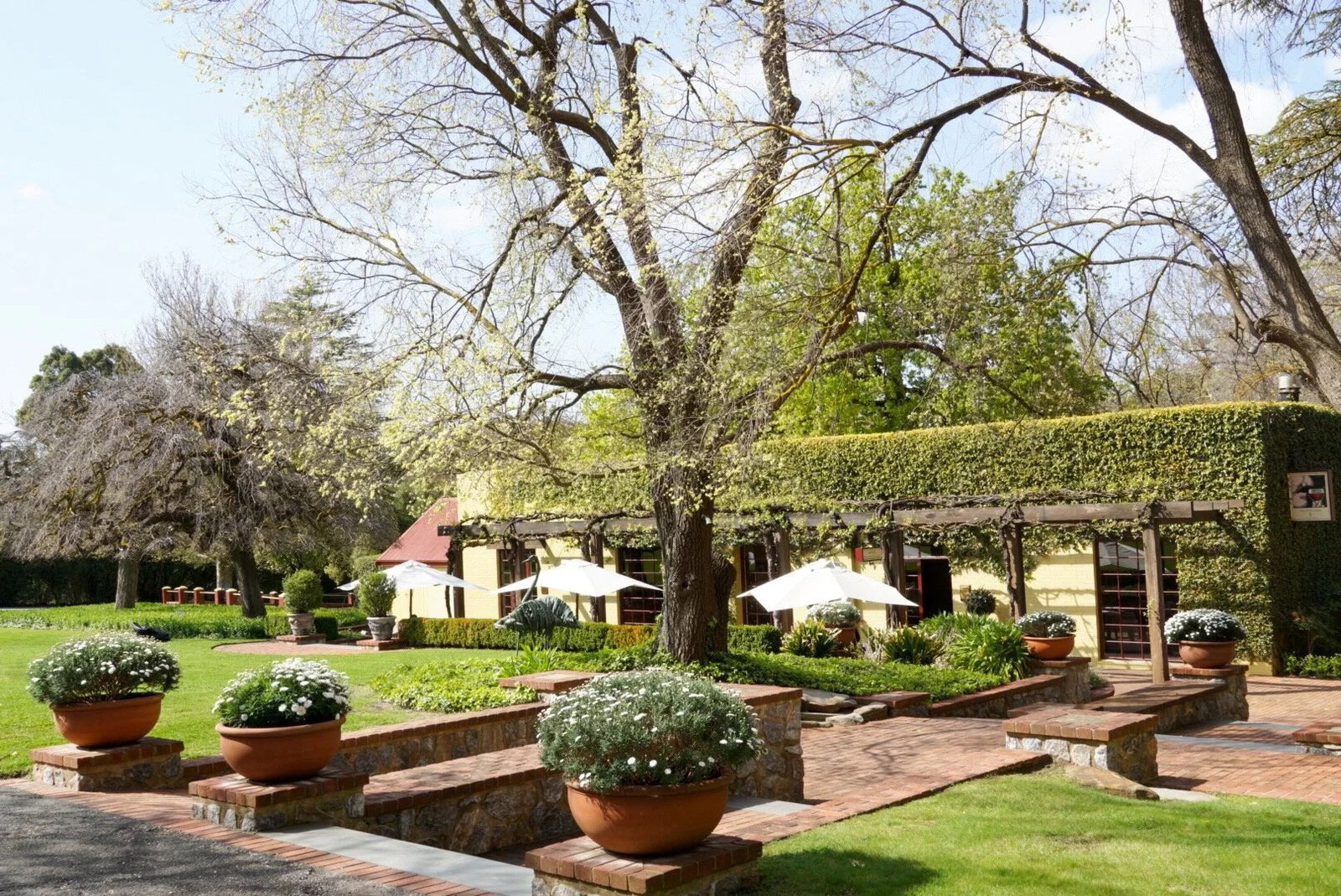 Yalumba