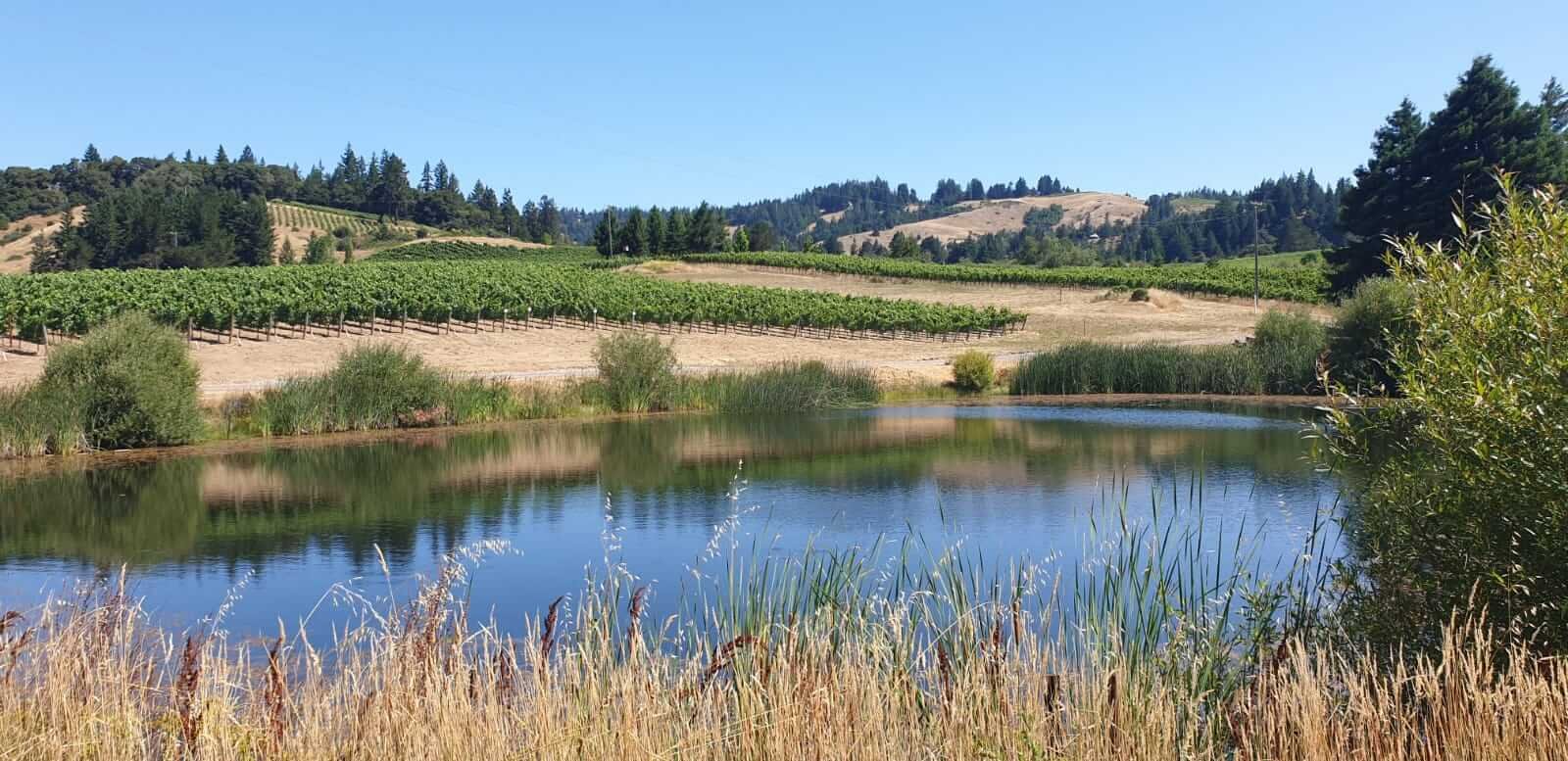 Lula Cellars winery in Philo, United States