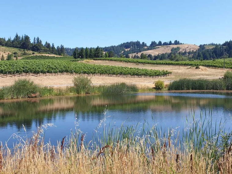 Lula Cellars, Philo, United States