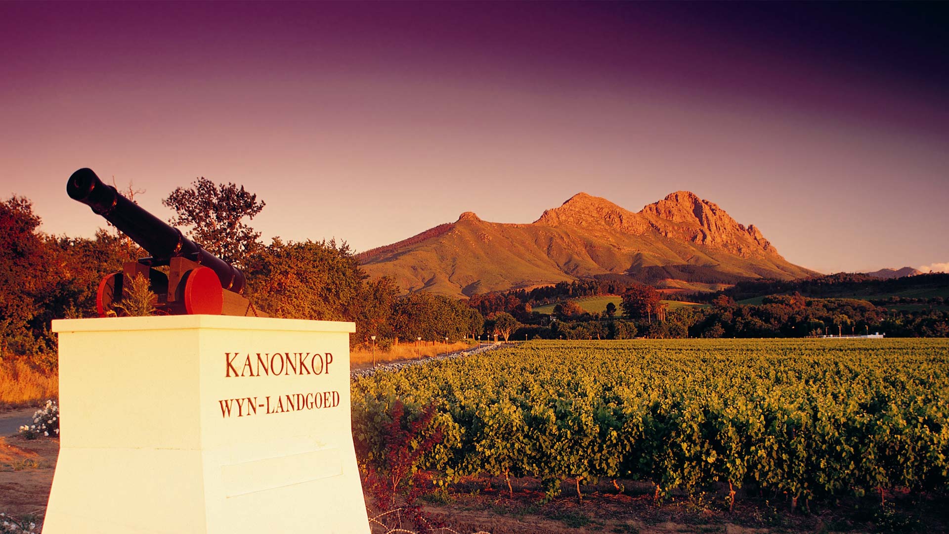 Kanonkop Wine Estate winery in Stellenbosch