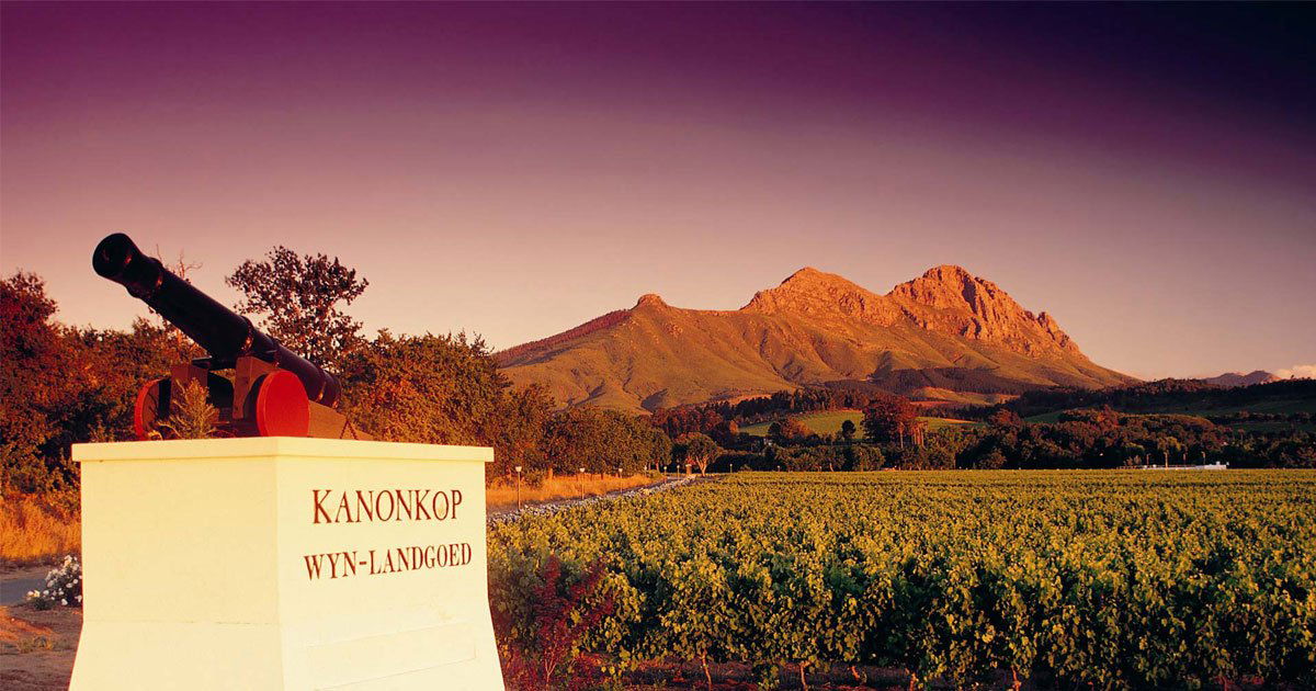 Kanonkop Wine Estate, Winery in Stellenbosch