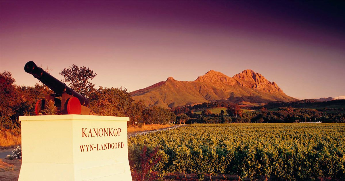 Kanonkop Wine Estate winery in Stellenbosch, South Africa