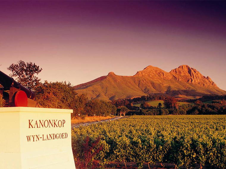 Kanonkop Wine Estate, Stellenbosch, South Africa