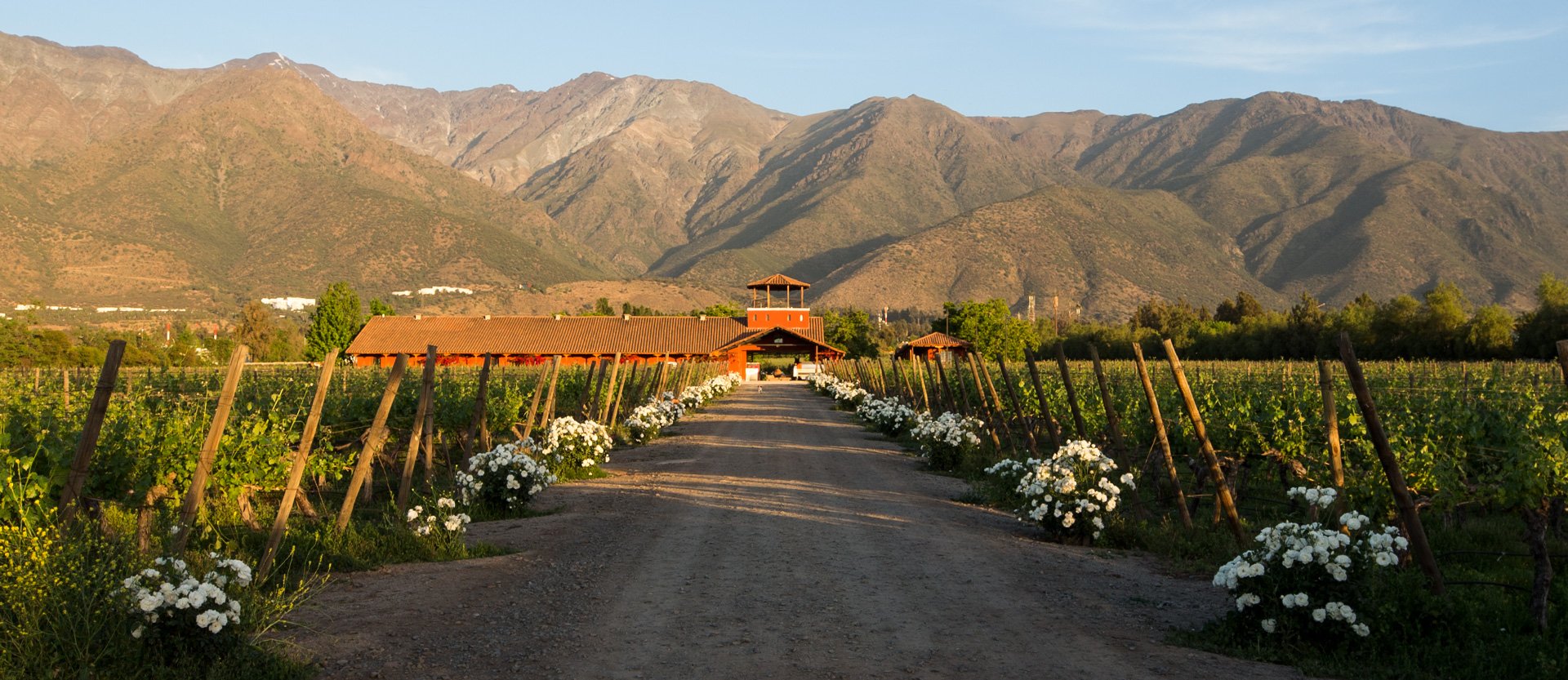 Viña Aquitania winery in Santiago, Chile