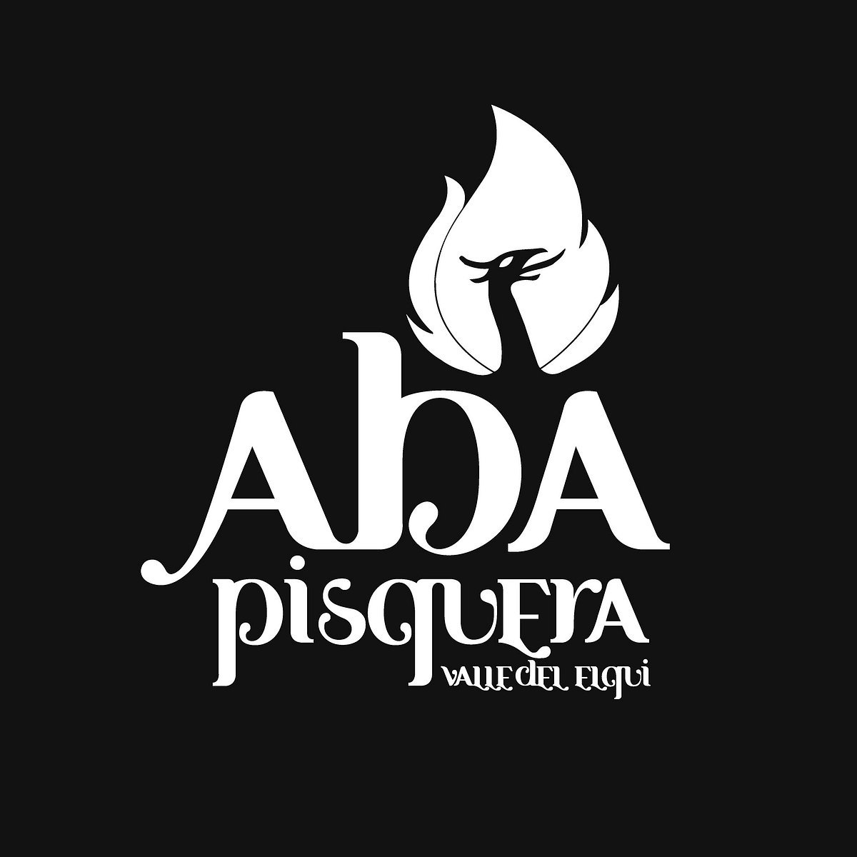 Pisquera ABA winery in Vicuña, Chile