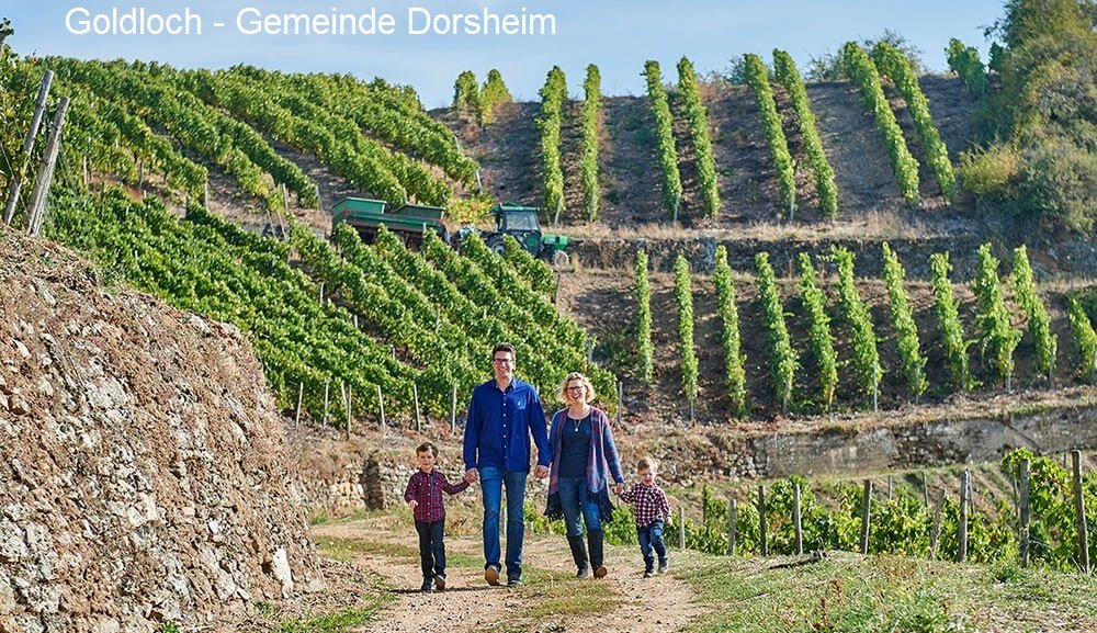 Weingut Joh. Bapt. Schäfer winery in Burg Layen, Germany
