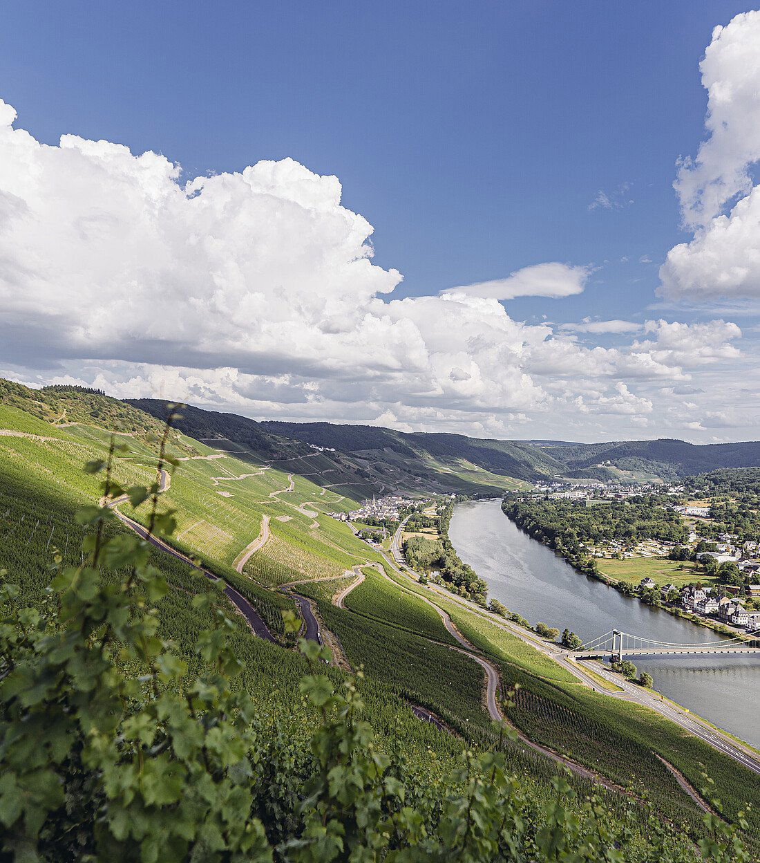 Weingüter Wegeler winery in Oestrich-Winkel, Germany
