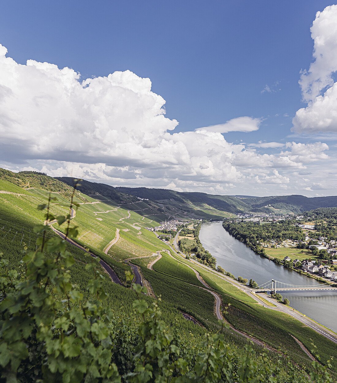Weingüter Wegeler winery in Oestrich-Winkel, Germany