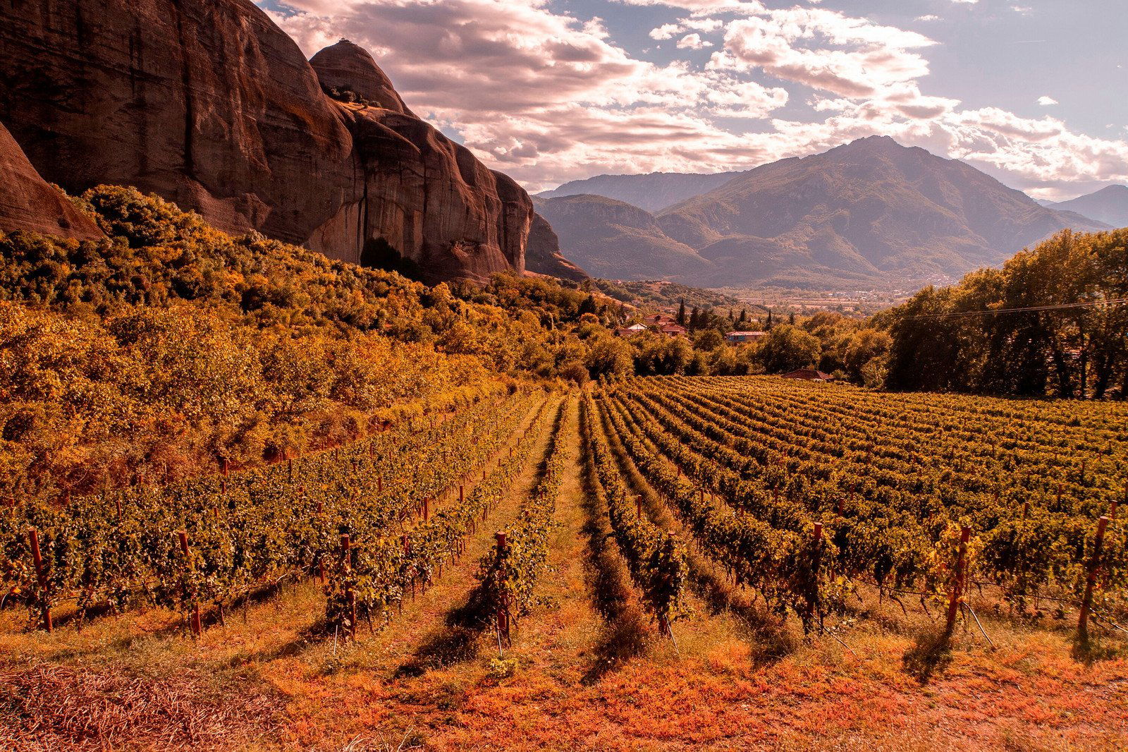 Aiolos Winery, Winery in Palaio Faliro