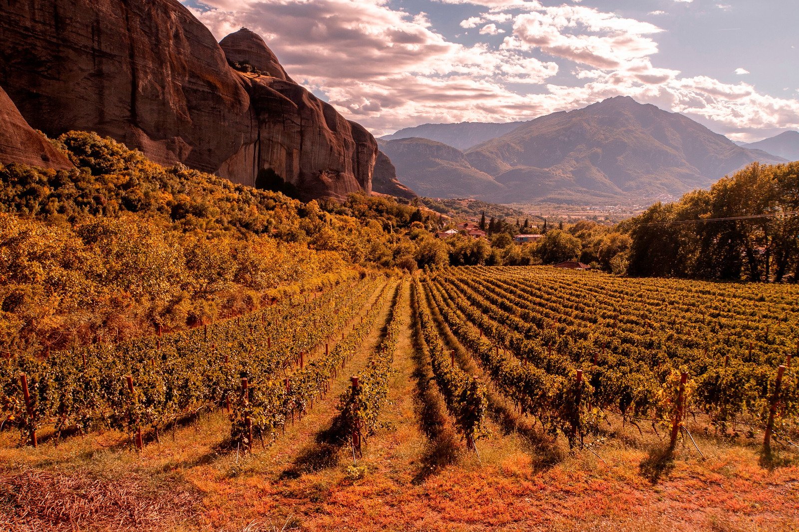 Aiolos Winery