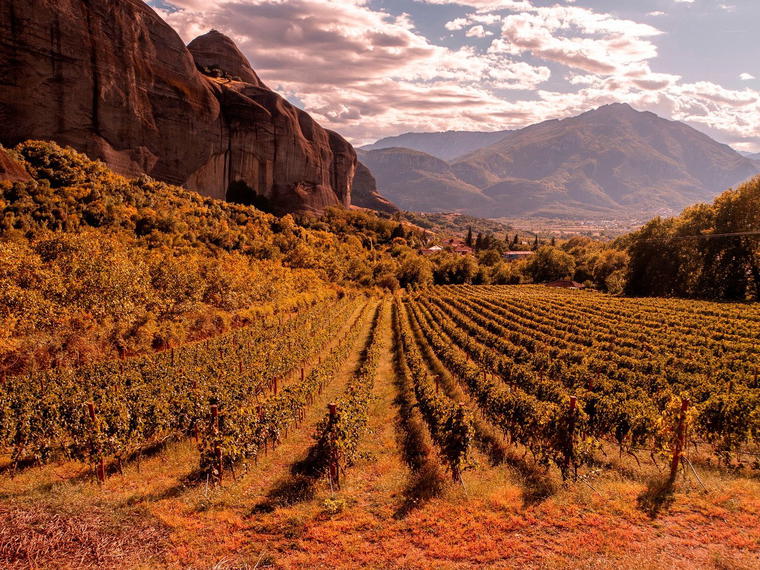 Aiolos Winery, Palaio Faliro, Greece
