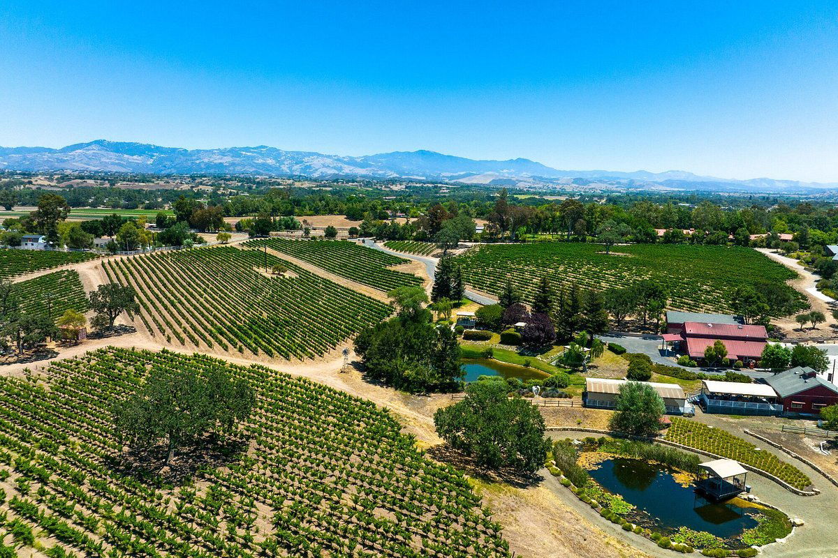 Beckmen Vineyards, Winery in Solvang