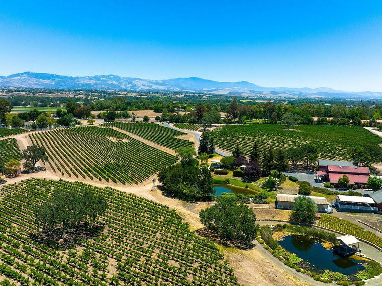 Beckmen Vineyards, Solvang, United States