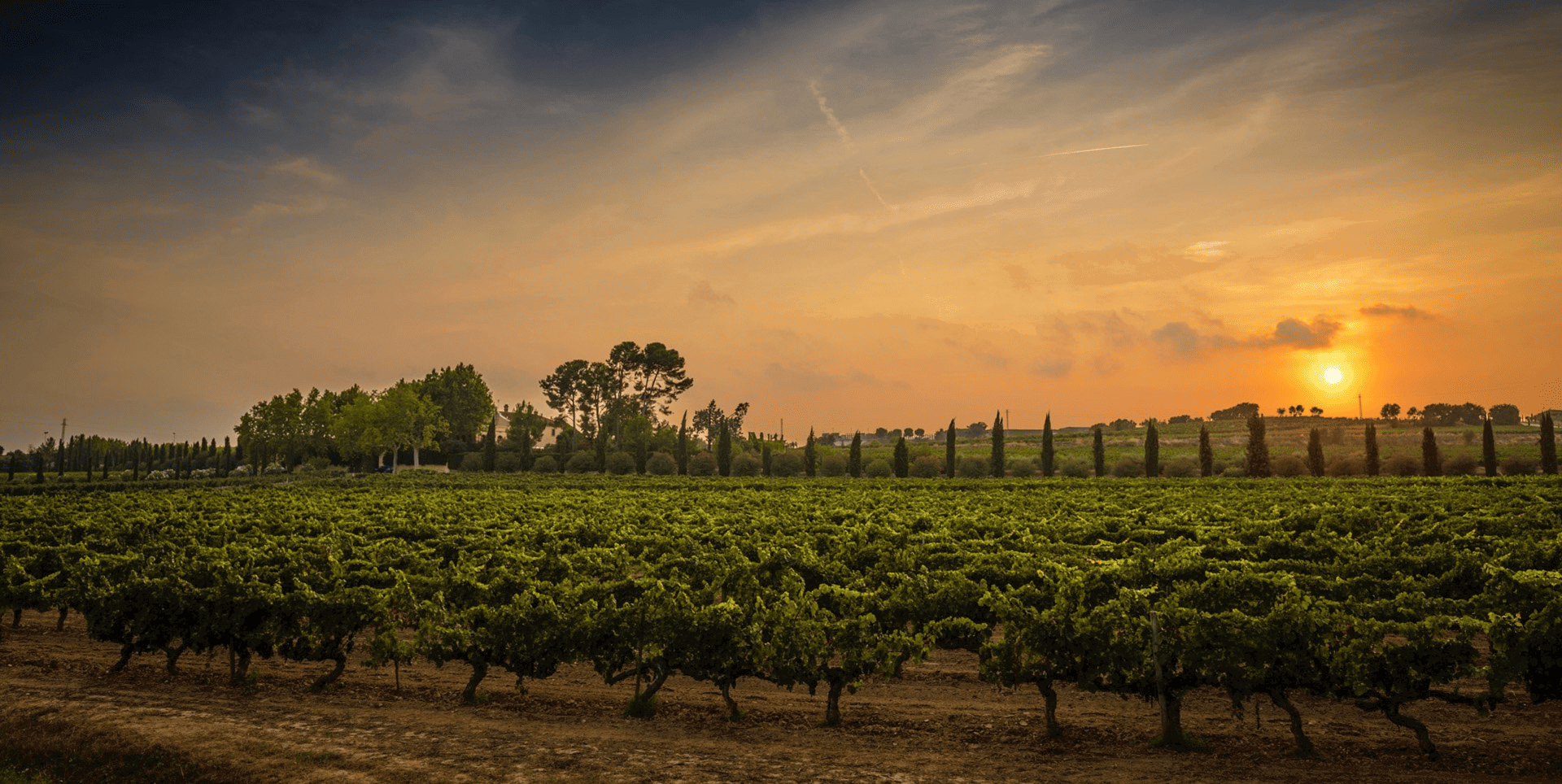 Familia Torres winery in Pacs del Penedès