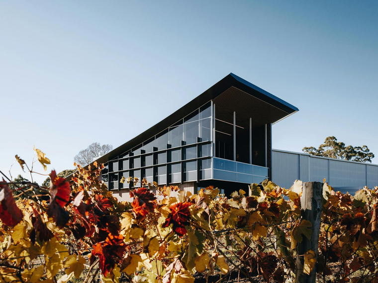 Yangarra Estate Vineyard, McLaren Vale, Australia