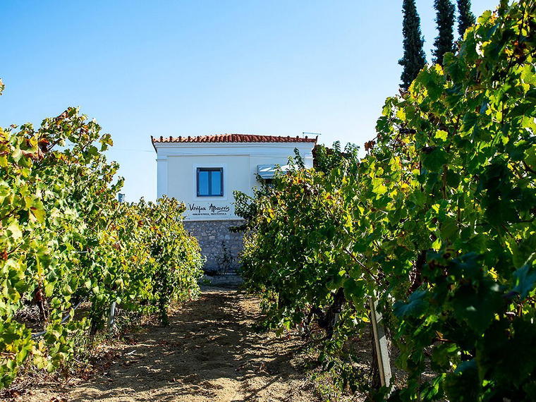 Avantis Estate, Chalkida, Greece