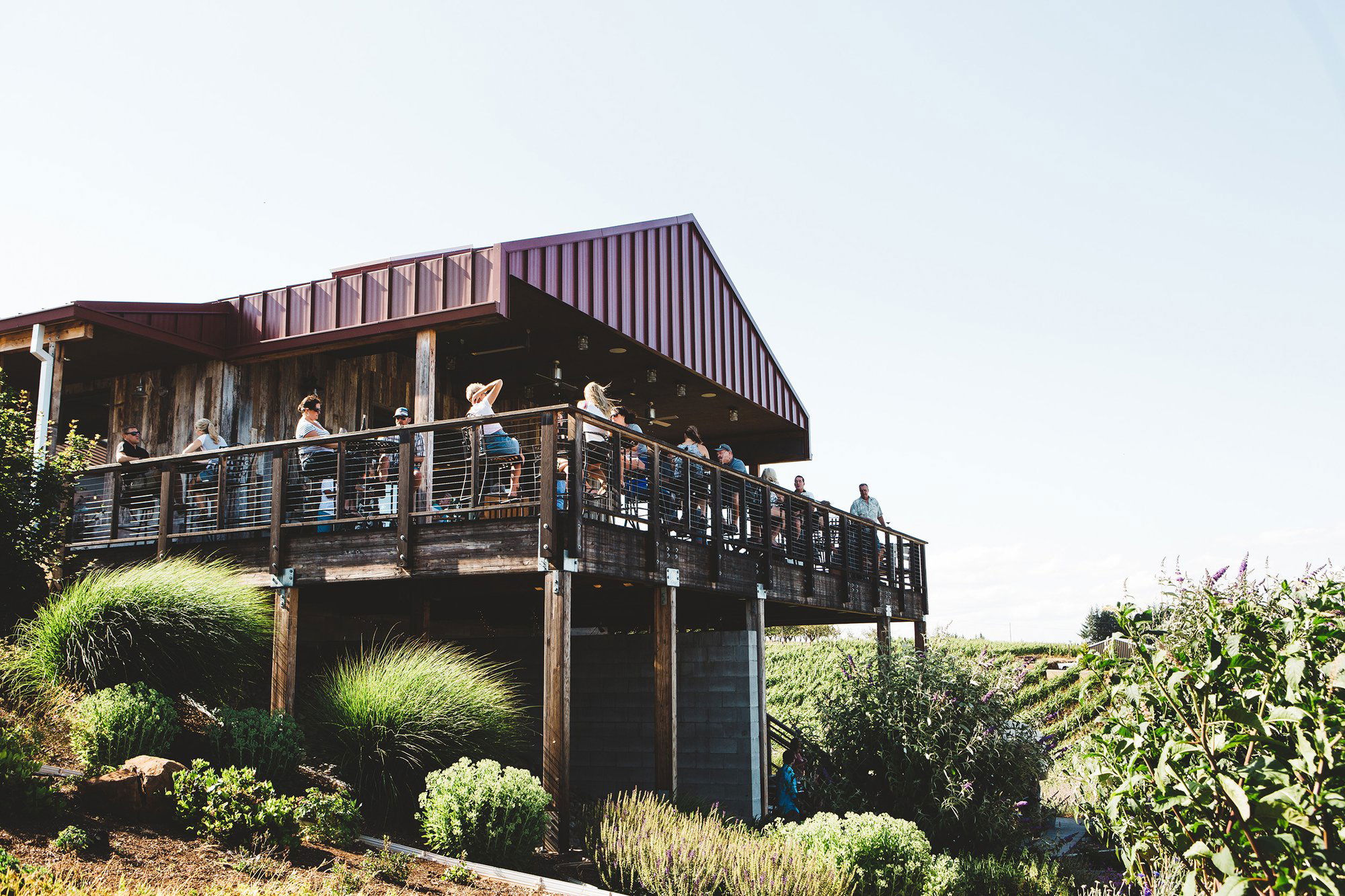 Brooks Winery, Winery in Amity