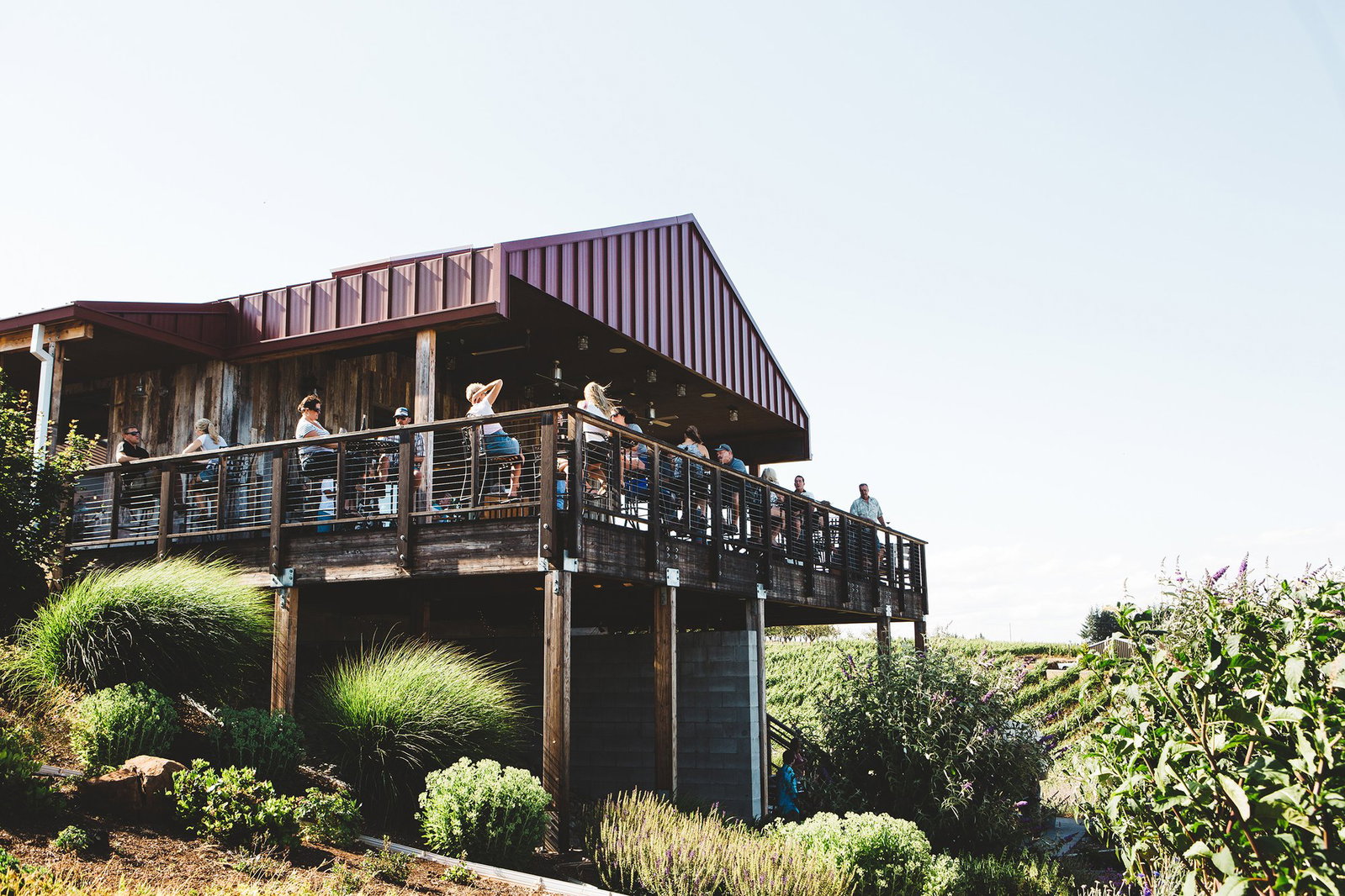 Brooks Winery