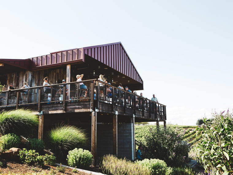 Brooks Winery, Amity, United States