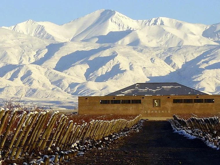 Finca Sophenia, Tupungato, Argentina