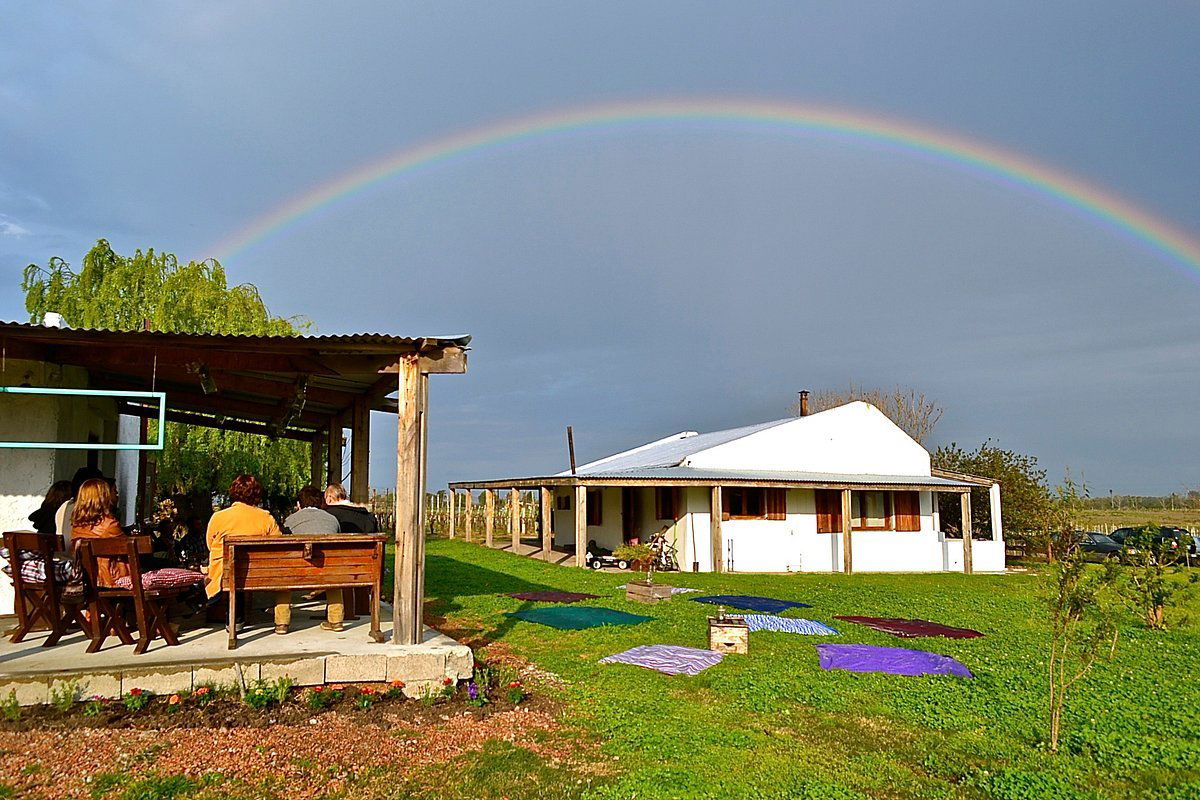 Los Nadies, Winery in Canelones